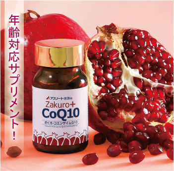 商品一覧｜あなたの体を戦える状態にする九州アスリート食品