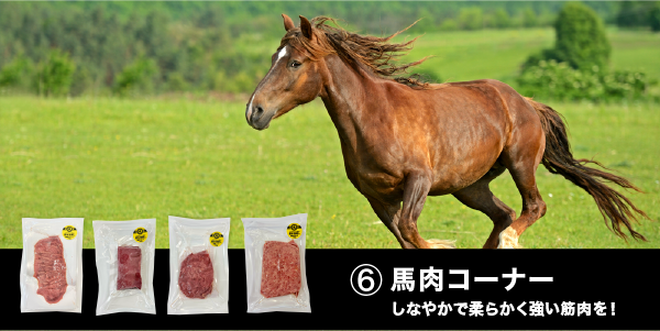 モコ　4点　エクストラクレンジング　ソープ 2F989EDB-4BED-4C12-8328-