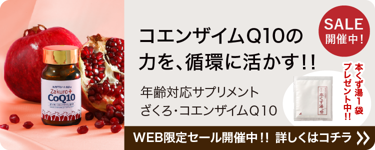 あなたの体を戦える状態にする。九州アスリート食品＜公式通販