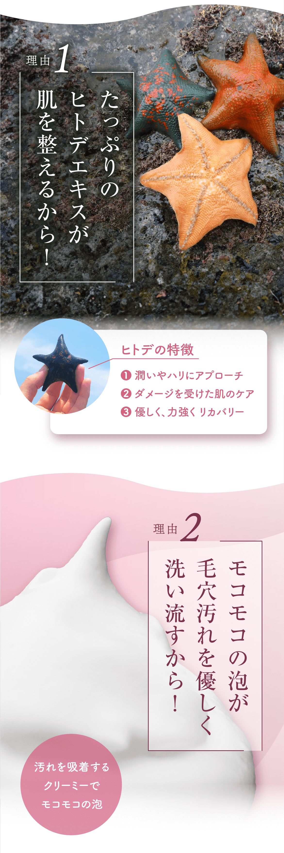 値下げ 薬用ジェル ワンワンスターⅡ スキンケアローション モコモコスターⅡ石鹸 薬用ジェル ワンワンスターⅡ スキンケアローション モコモコ