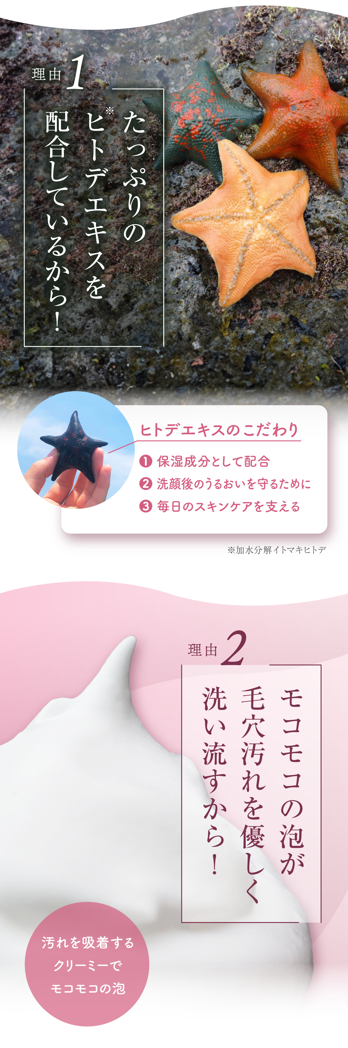 ディープクリアソープMOCO MOCO Star Ⅱ（モコモコスターツー）｜九州
