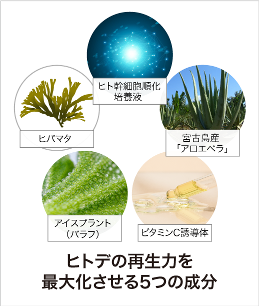 【九州アスリート化粧品】新品未開封未使用♪ヒトデの力基礎化粧品3点セット スキンケアローション Ready Time Star｜九州アスリート食品