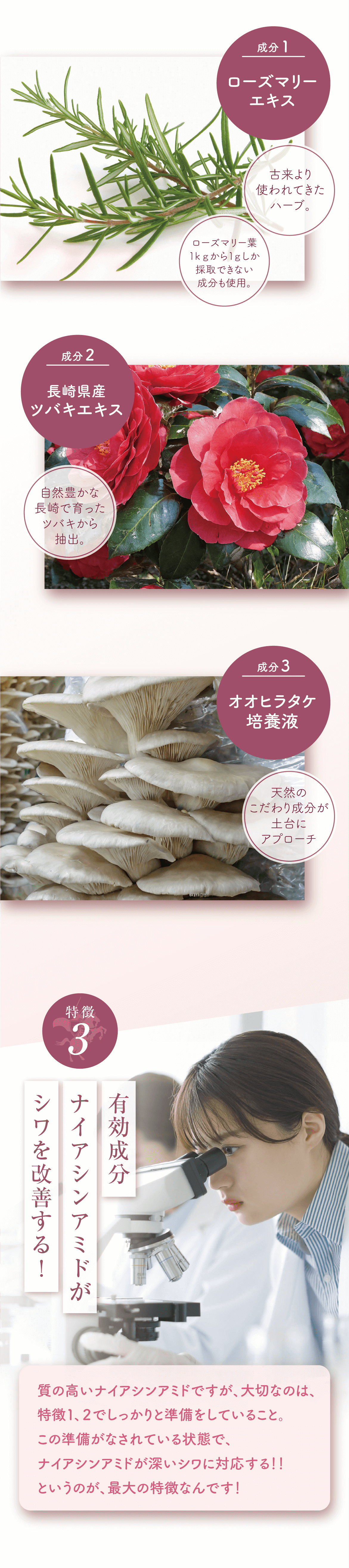 薬用ヒトデ集中クリーム「リンクル11ナイト」｜九州アスリート化粧品