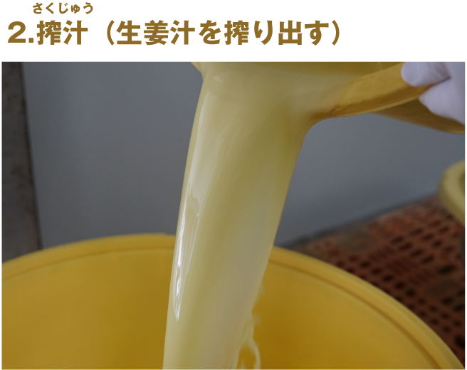 長崎県産 生姜シロップ｜九州アスリート食品
