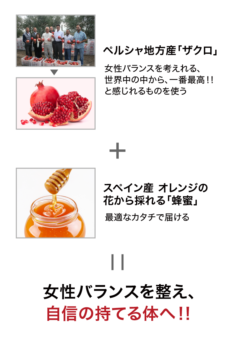 女性バランス食品 「ざくみつ」｜九州アスリート食品