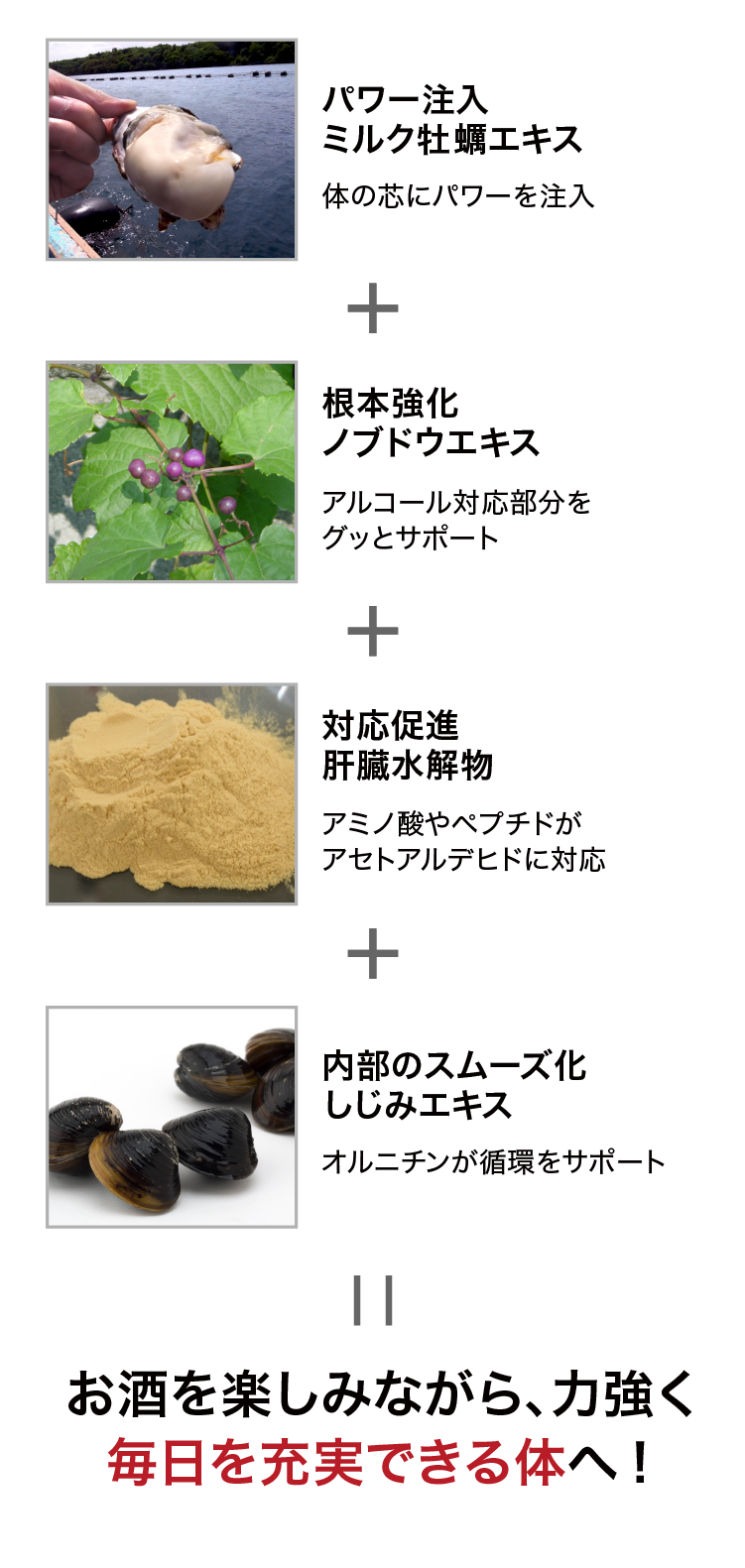 ミルク牡蠣サプリ しじみ重視 ｜九州アスリート食品