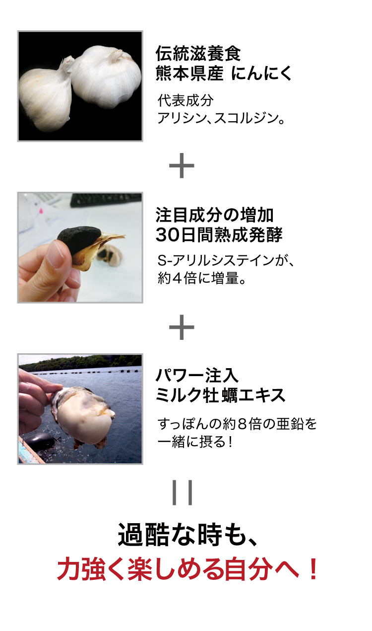 ミルク牡蠣サプリ にんにく強化版 ｜九州アスリート食品