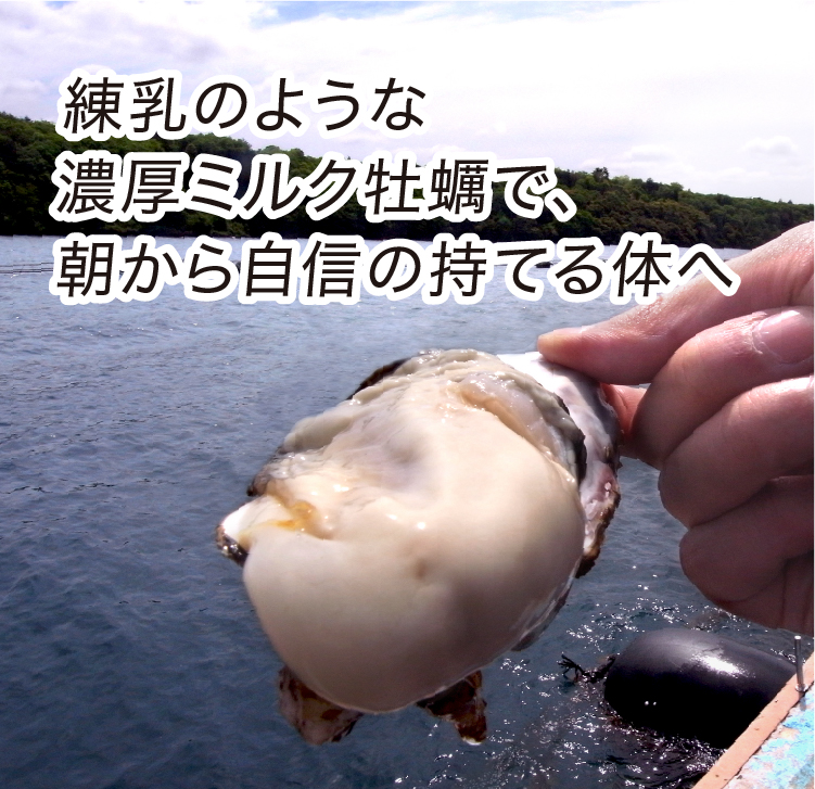 【2個セット】アスリート家族 ミルク牡蠣サプリメント ミルク牡蠣サプリメント｜九州アスリート食品