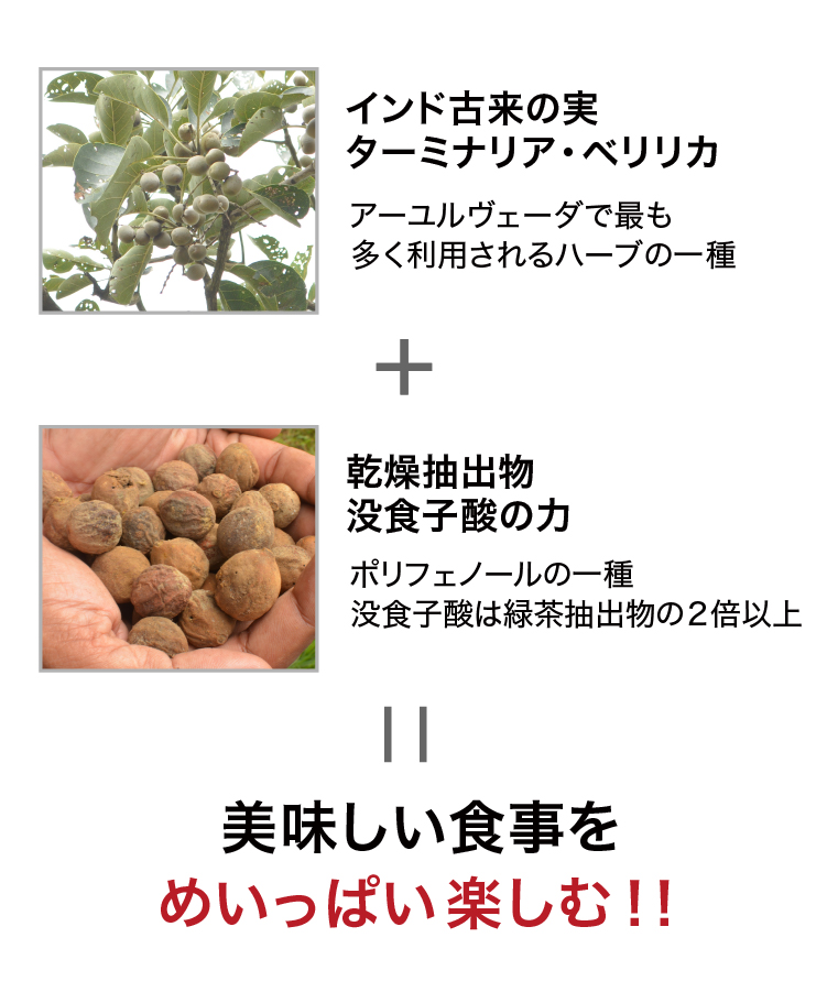 【まめちゃん様】アスリート食品Termy-Lee ターミニリー 180粒入り×2 ターミー・リー｜九州アスリート食品